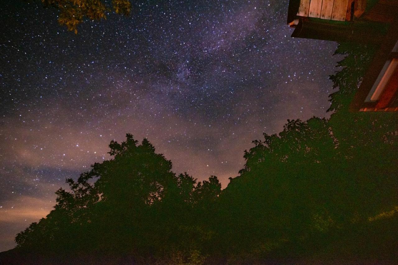 Miha Lodge - Mihcevo Plece Soča Kültér fotó